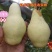 香蕉梨