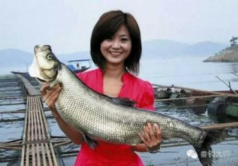 翘嘴白