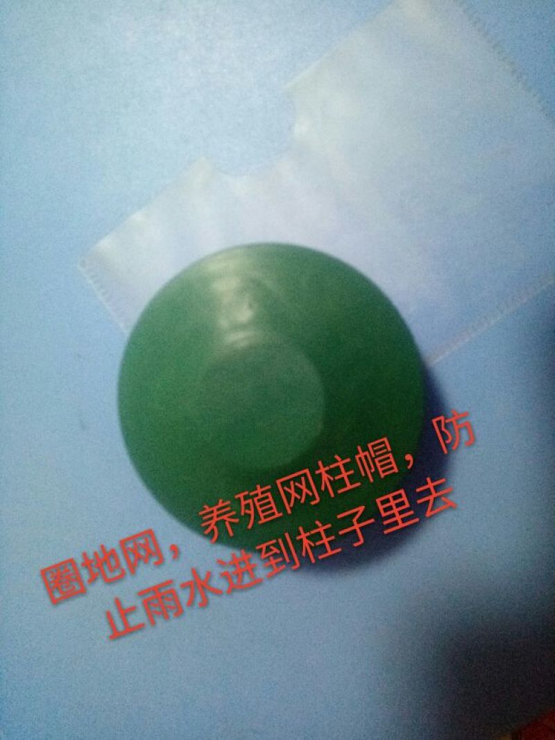 荷兰网50*50mm