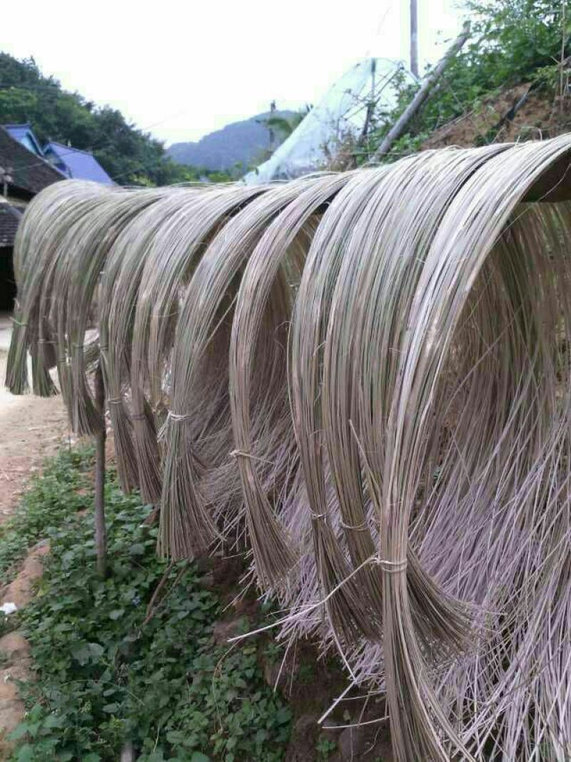 竹竿