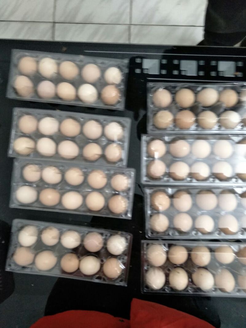 虫草蛋食用40~50g