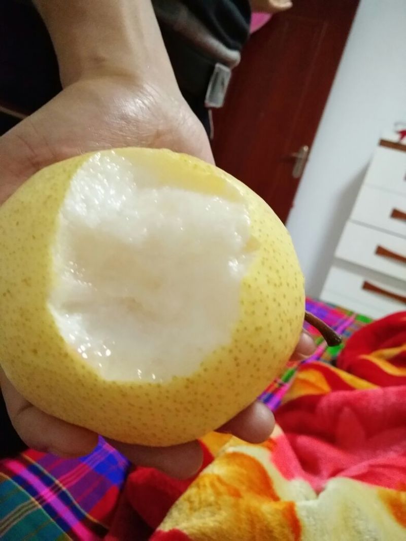酥梨250~300g纸箱