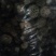 干香菇3~3.5cm