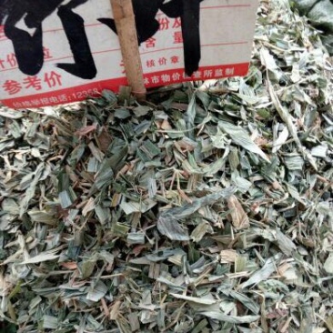 淡竹叶