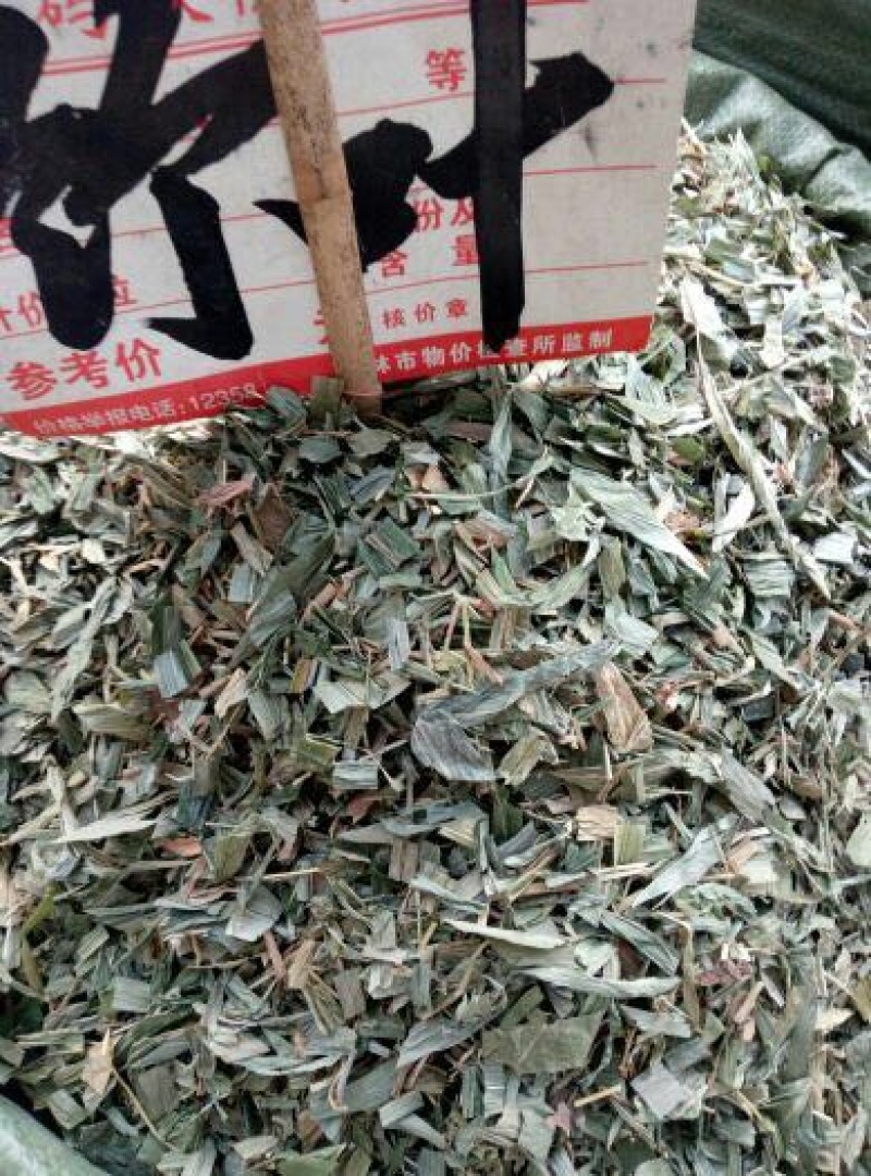 淡竹叶