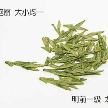 本山茶一级