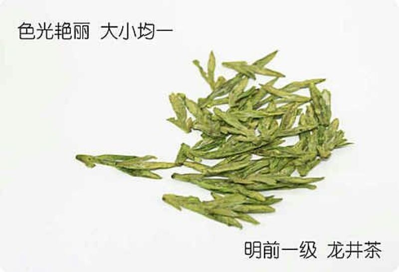 本山茶一级