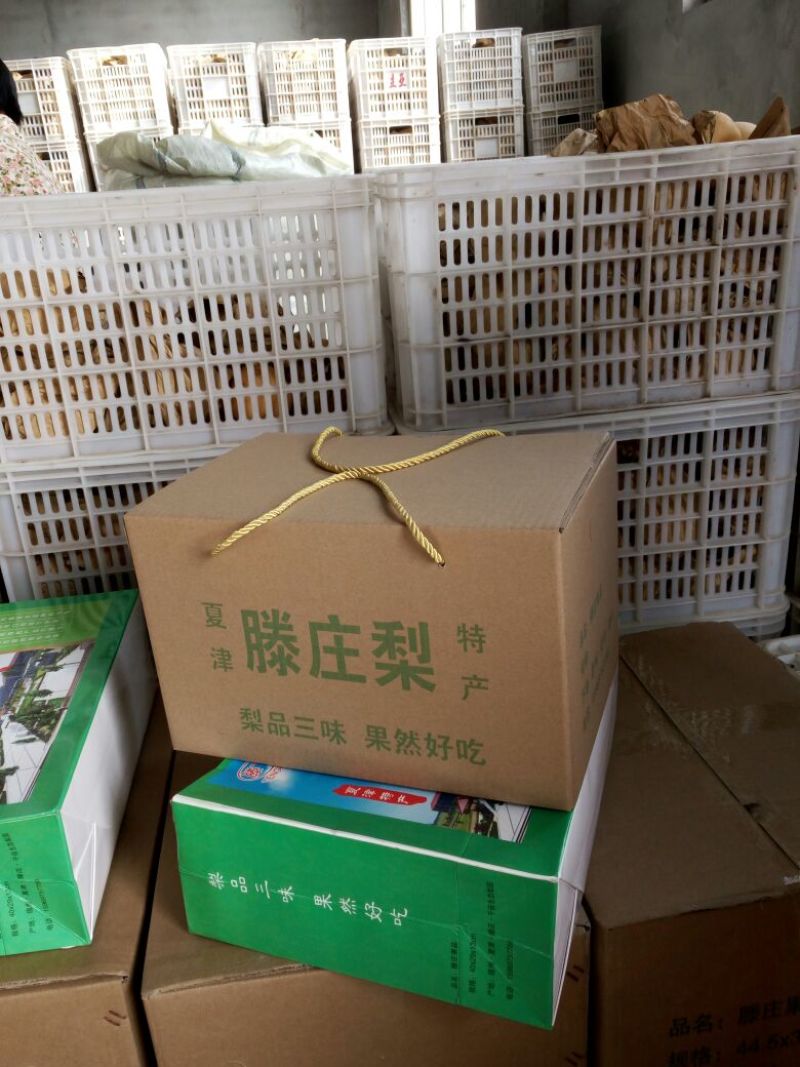 黄晶梨550~600g纸箱
