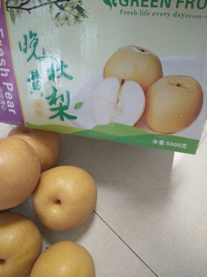 富硒梨500~550g纸箱