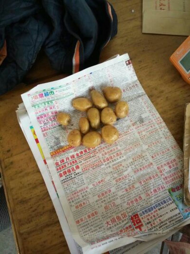 迷你土豆1两以下长年供应油炸小土豆，规格标准
