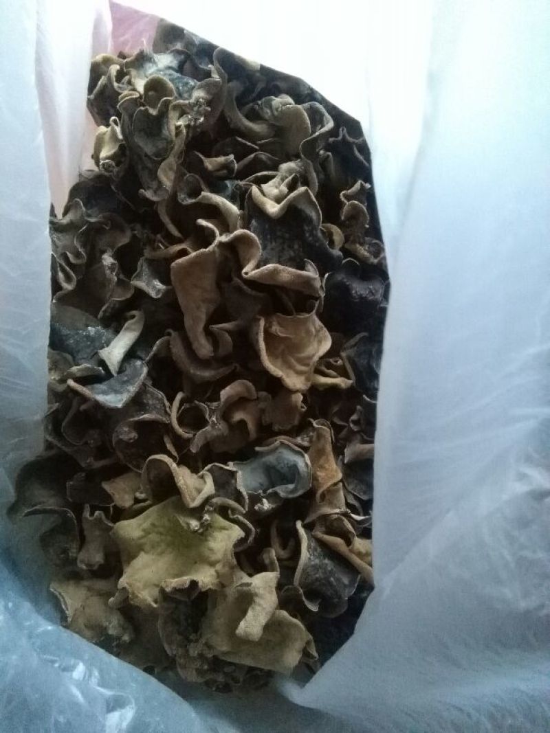 黑木耳一级
