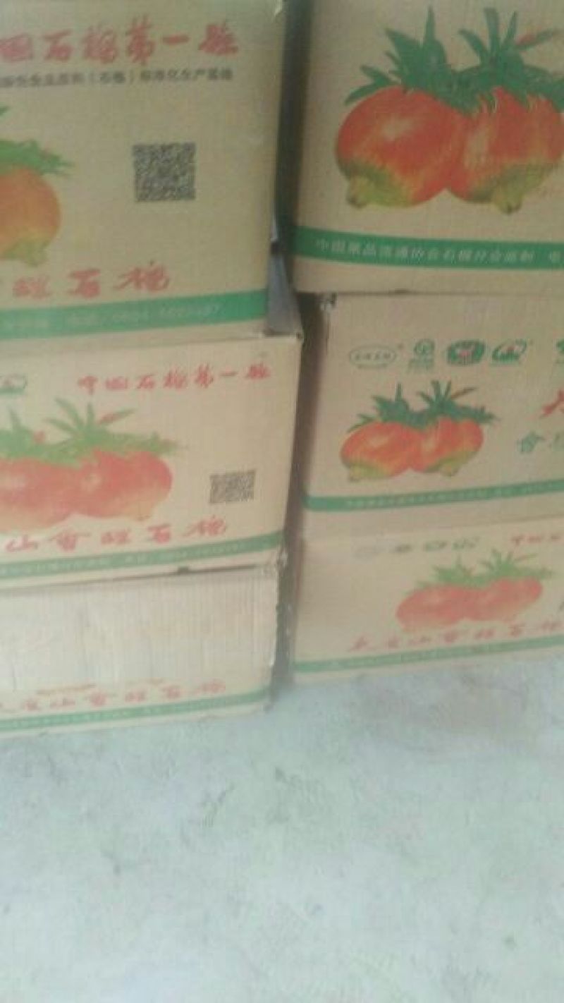 枣庄石榴3两~5两