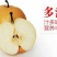 晚秋黄梨600g以上纸箱