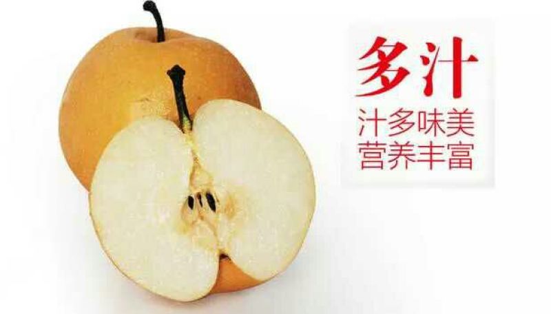 晚秋黄梨600g以上纸箱
