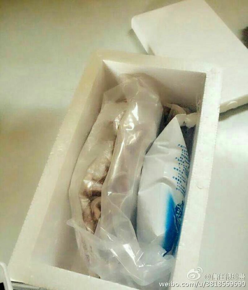 羊肉是带骨绵羊肉