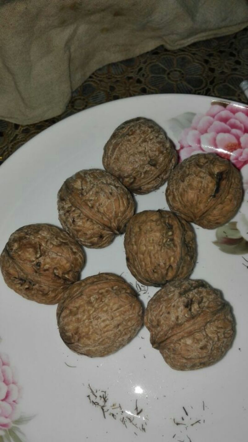 核桃去皮干
