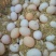 白蛋食用50~60g