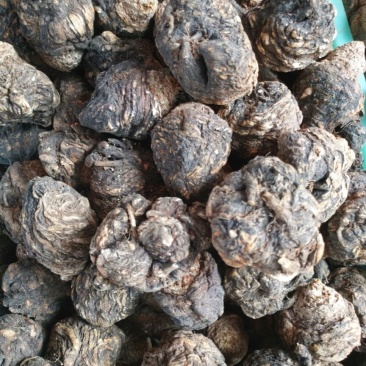 黑玛卡黑色