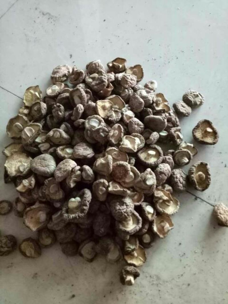 干香菇3cm以上