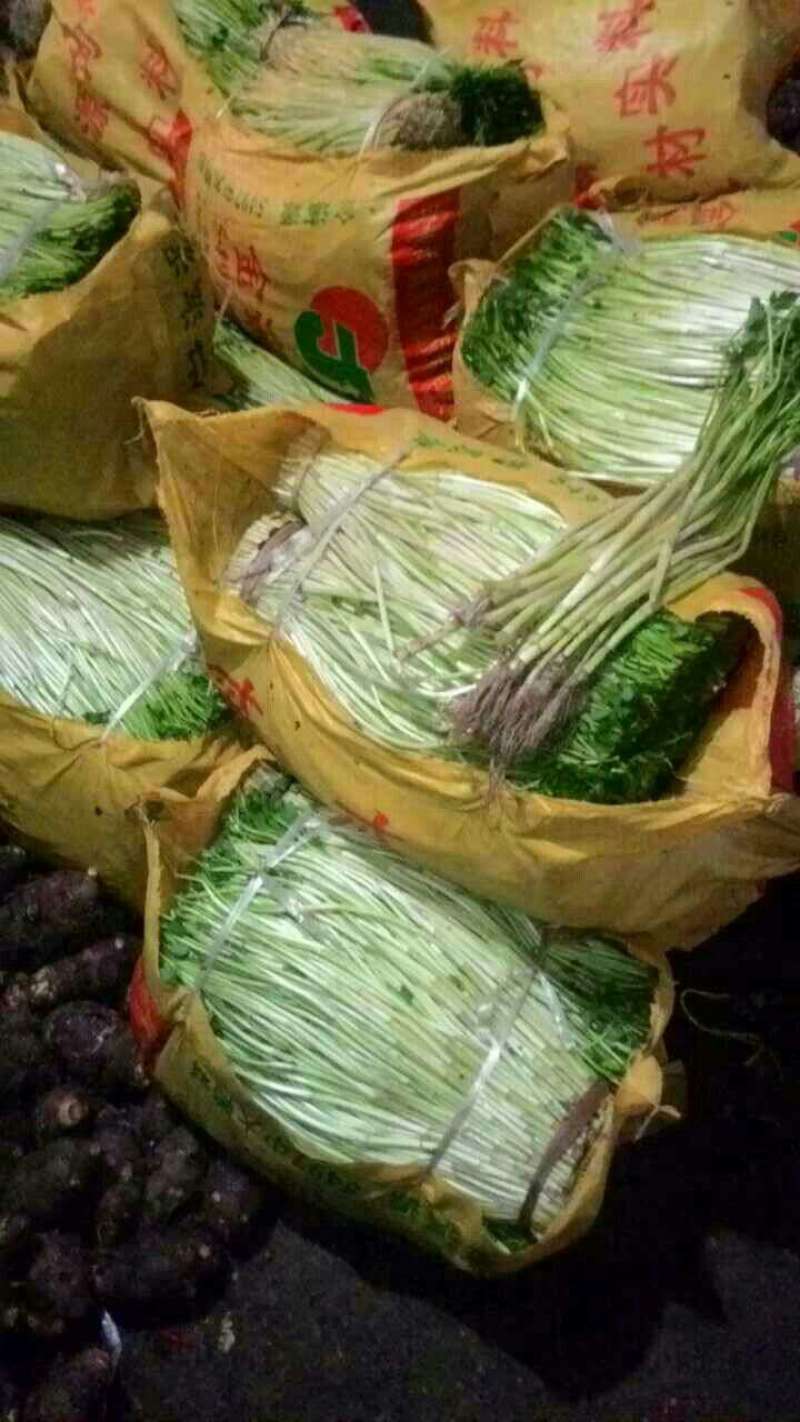 蔬菜
