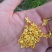 【推荐】桂花苗桂花大小苗产地直销成活率高量大从优