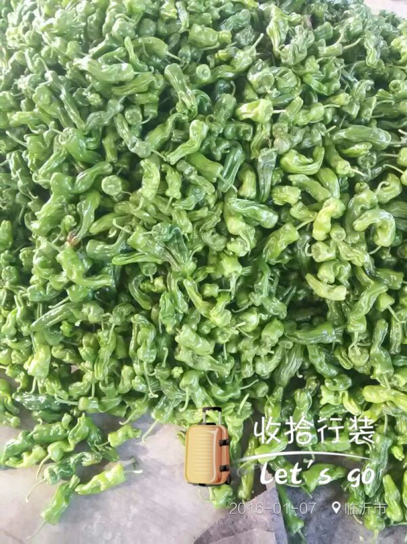 精品芜湖椒薄皮椒，产地直销，货源新鲜，保质保量，各种包装