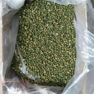 杭州白菊散装