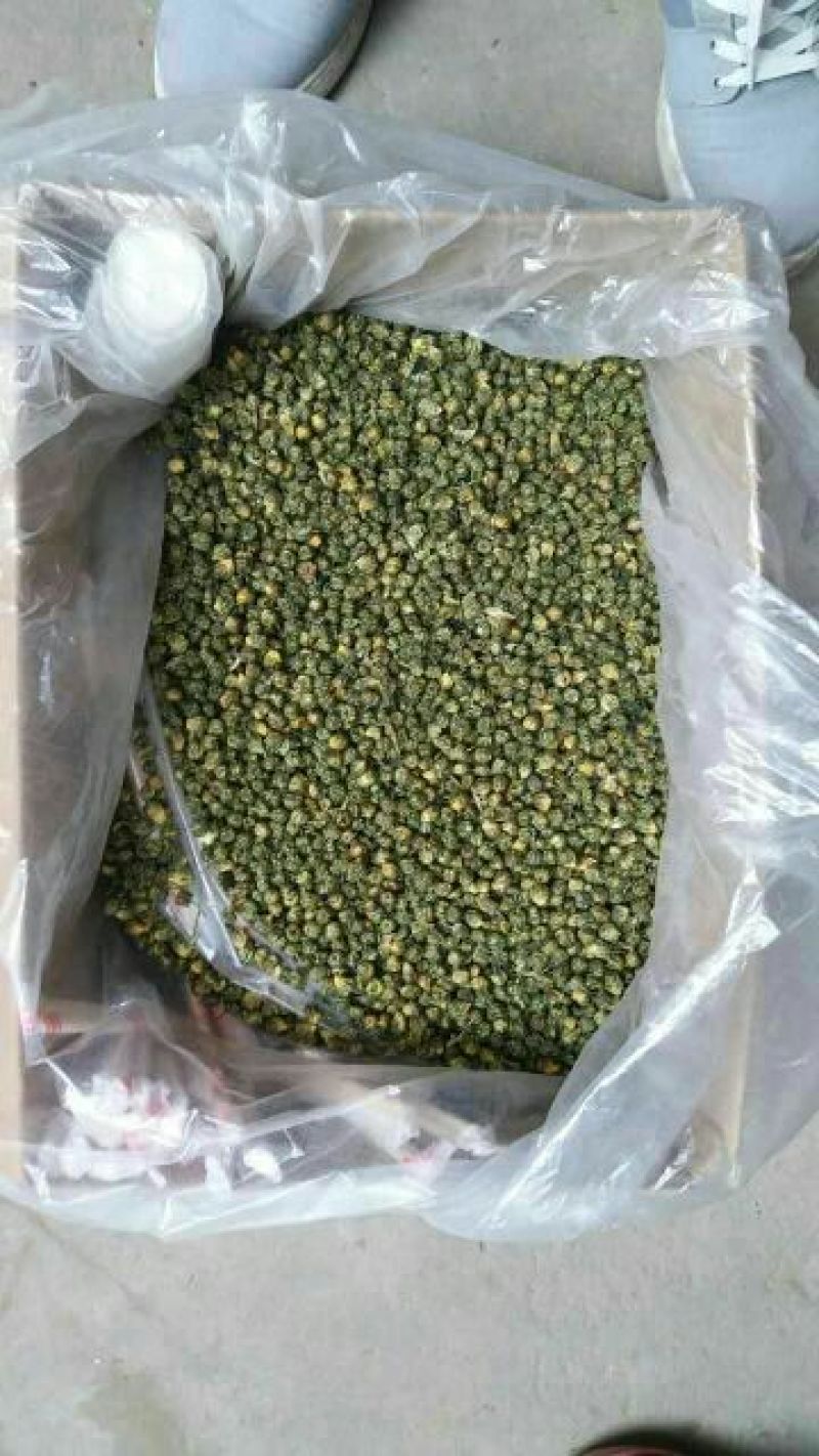 杭州白菊散装