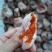 柿饼1~2两
