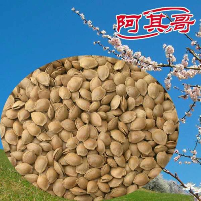 杏胡甜核