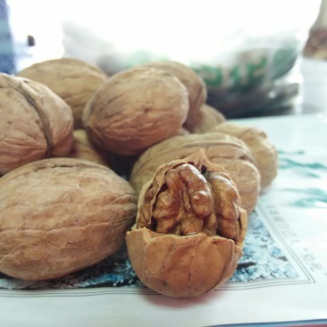 薄皮核桃
