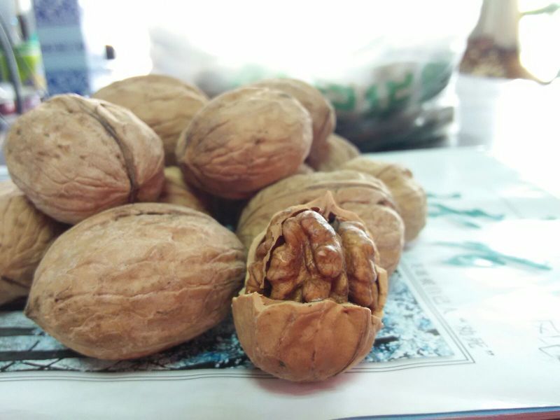 薄皮核桃
