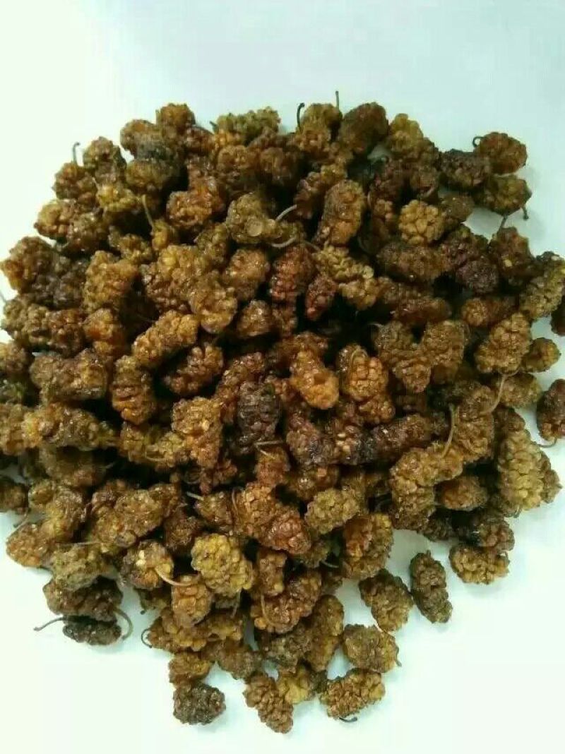 桑葚干