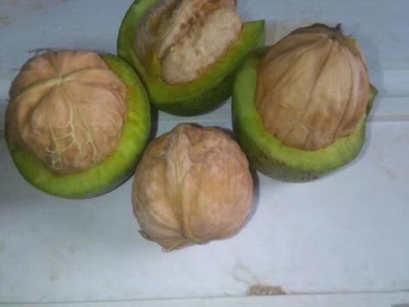 脱皮核桃