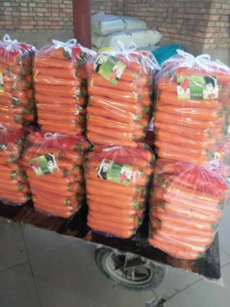 大红品种，，杂交胡萝卜可视频看货提供各种包装，