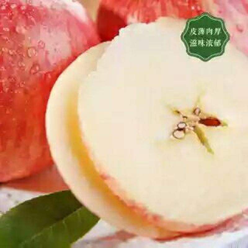 山东烟台红富士苹果纸袋