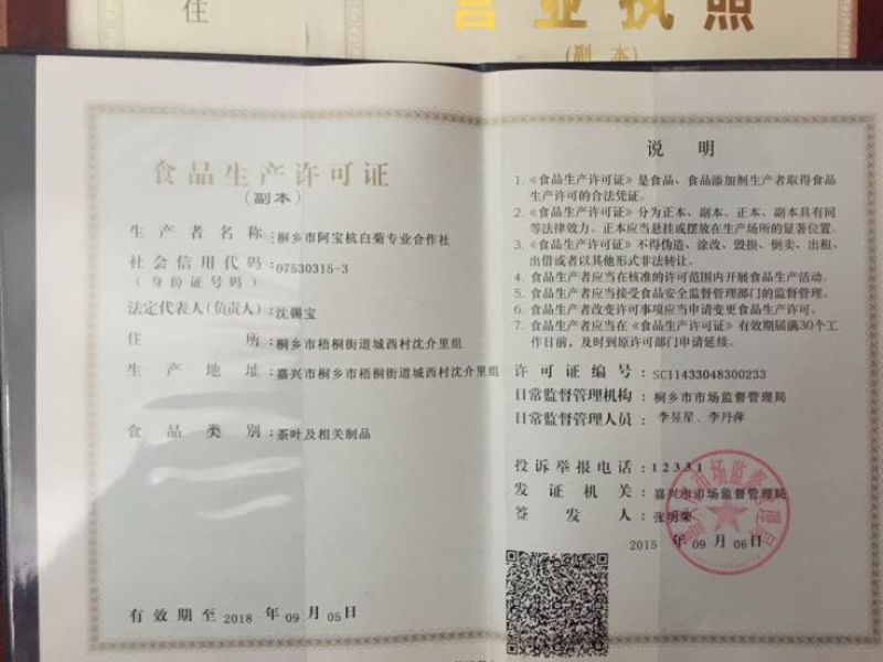 杭州白菊