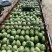 宁夏香山硒砂瓜10斤打底9成熟一等货，质量保证