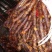 腊肉食用大排肉肉制品