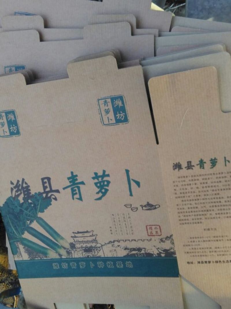 青萝卜1~1.5斤起