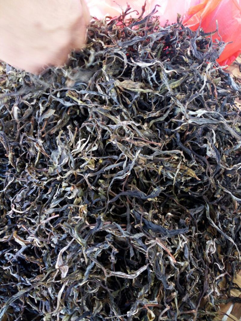 百年大树茶特级