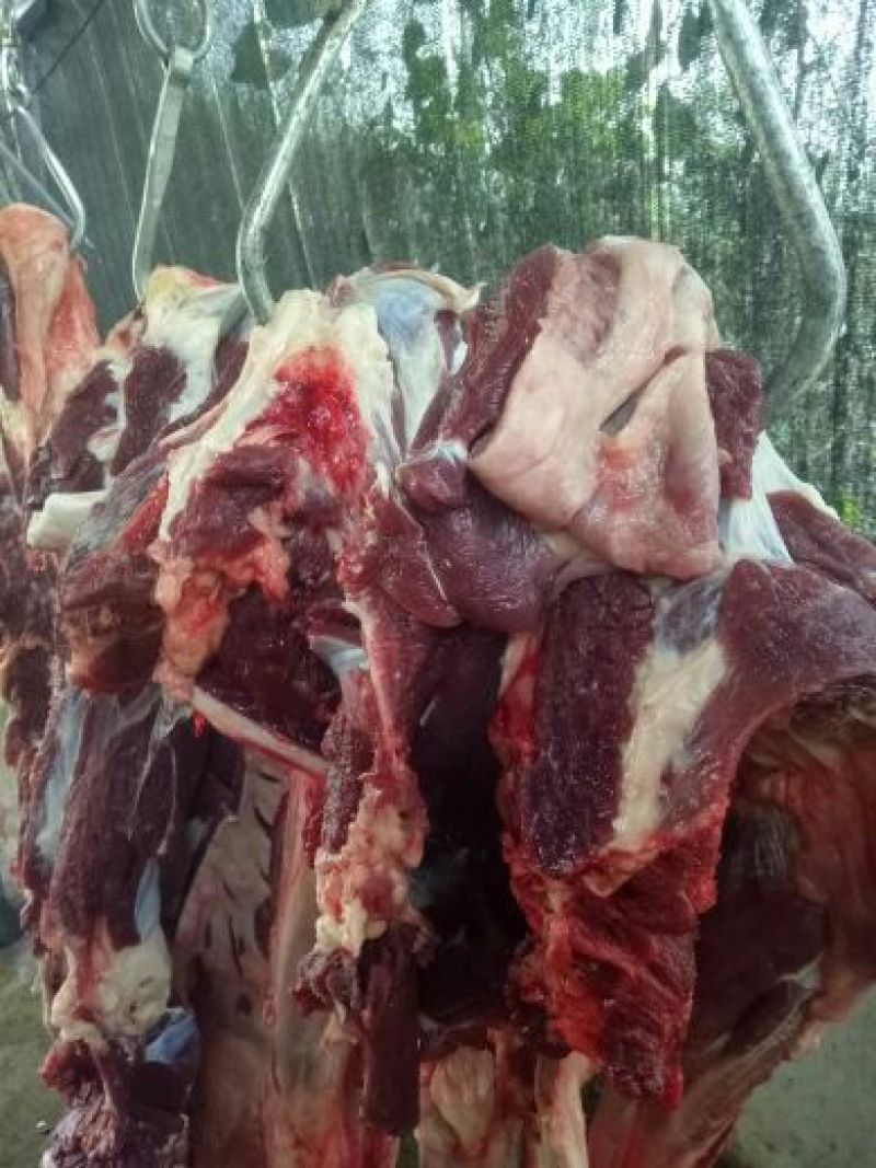驴肉鲜货