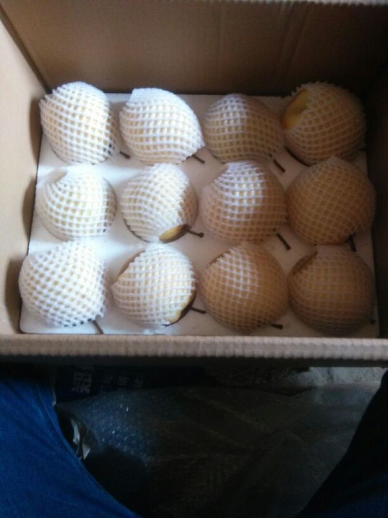 贡梨450~500g纸袋