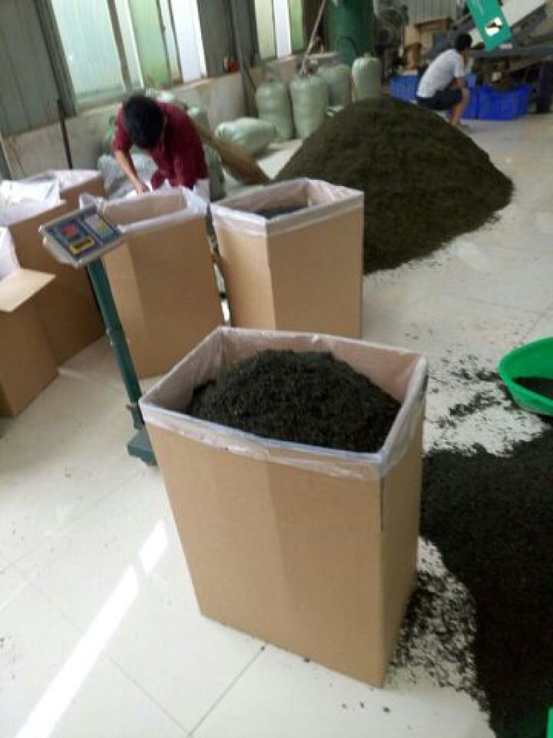 【有好货】富硒茶高原云雾茶250g/袋包邮