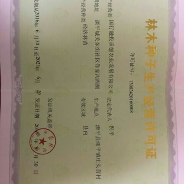 种苗