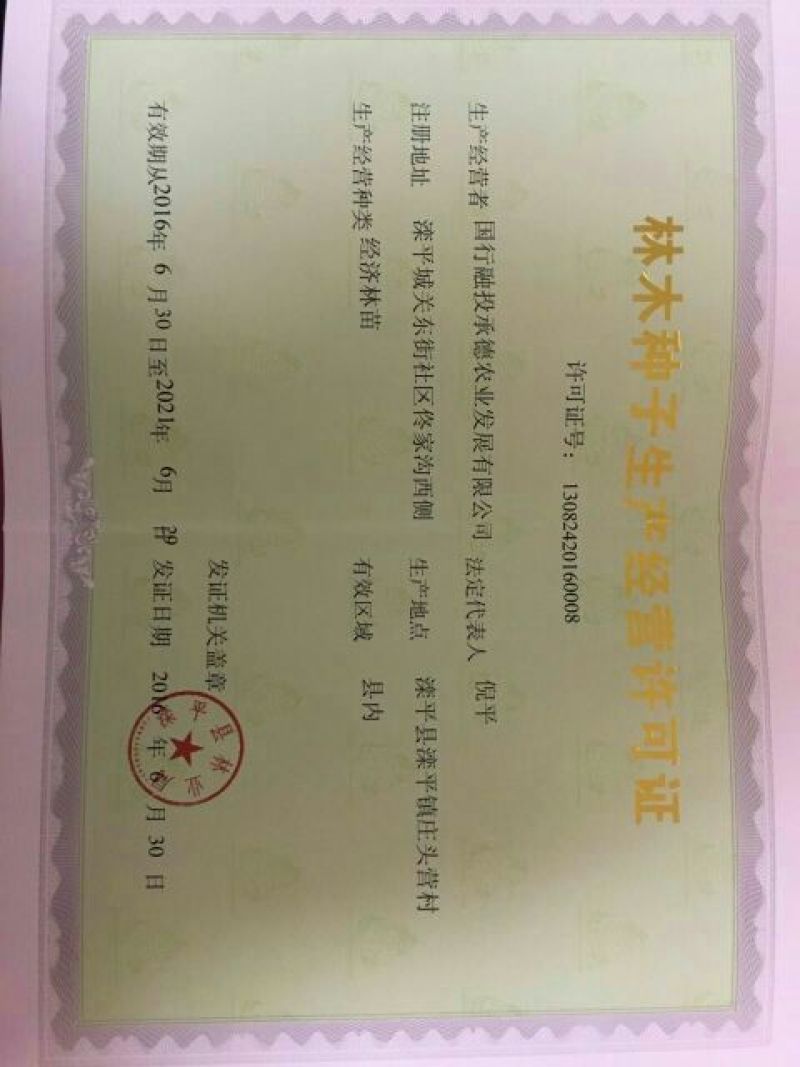种苗