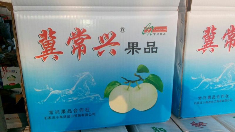 皇冠梨500~550g纸箱