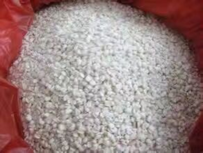 薏苡仁