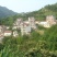 山核桃