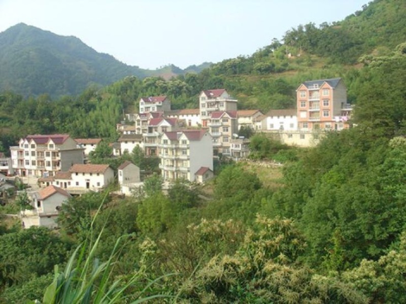 山核桃